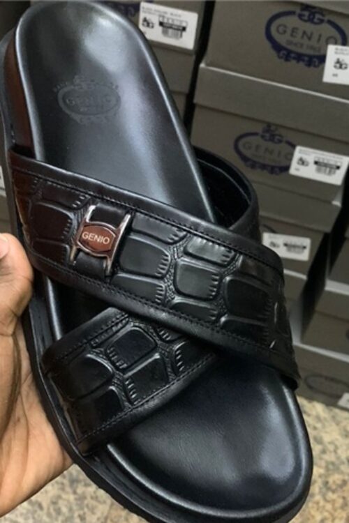 120198170 Genio Men Shoes